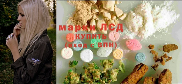 spice Лагань