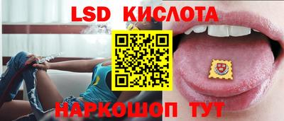 ПСИЛОЦИБИНОВЫЕ ГРИБЫ Заводоуковск