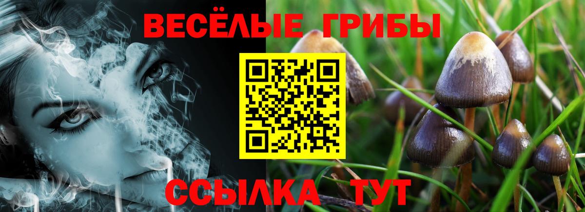 Псилоцибиновые грибы мухоморы Городец