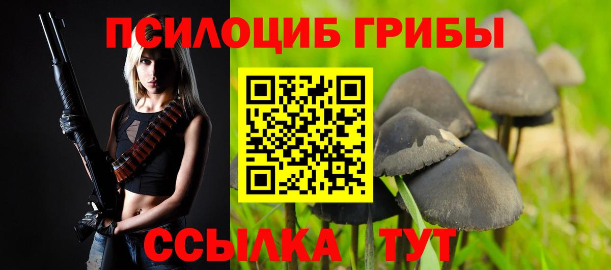 Псилоцибиновые грибы прущие грибы  Вход с VPN  цена   Городец 