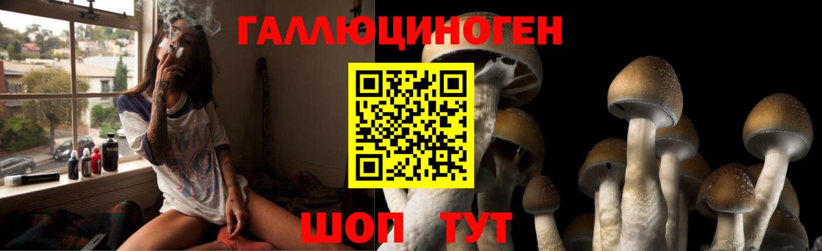 Псилоцибиновые грибы мухоморы  закладка  Городец 